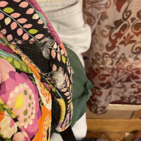 Vera Bradley Backpack Floral Pattern - Picture 5 of 6